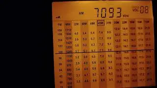 Degen 1103 dsp vs pll SSB