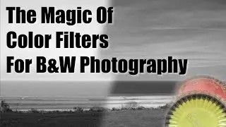 Improve your black and white pictures with color filters !
