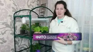 Самый лучший недорогой  фитосветильник для самой , крепкой и здоровой рассады. Яркон.