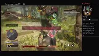 Transmisión de PS4 en vivo de RUIZ-HUNTER