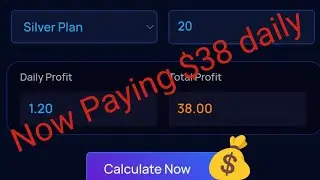 Zigzag Profits Try and Withdraw Your $38 Daily