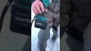 МОРА ЭКСПЕРТ и голова АЙСБЕРГ