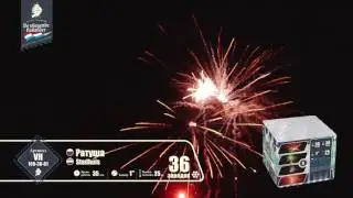 VH100-36-01 Ратуша