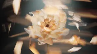 Dynamic Procedural Flowers in C4D - Part 1| Rendering with render farm (iRender)