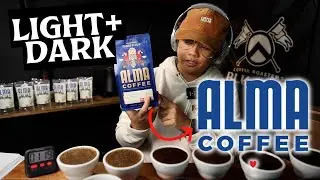 Cupping your Coffees | Alma Coffee