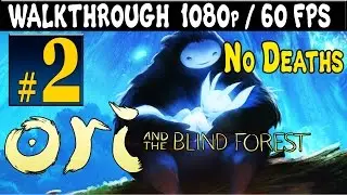 ORI And The Blind Forest Walkthrough - Part 2 Hollow Grove 1080p 60FPS PC / Xbox One / Xbox 360