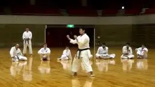 Suparinpei kata (Goju-ryu version)