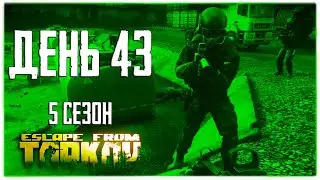 Escape from Tarkov. Way from the bottom 5. Day 43