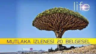 MUTLAKA İZLEMENİZ GEREKEN 20 BELGESEL
