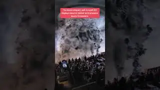 Shared-reality sport broadcast