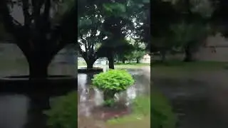 Rainy days in Rajshahi University.. বৃষ্টিময় রাজশাহী বিশ্ববিদ্যালয়...