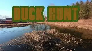 Duck Hunter