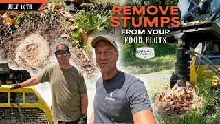 How to Remove Stumps from Food Plots | Dream Farm w/ Bill Winke