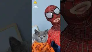 Nothing💦...Spider-Man Actually Cried In The End🤣 
