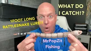 One foot rattlesnake lure put to the test! Do these lures actually catch fish!? Watch and find out