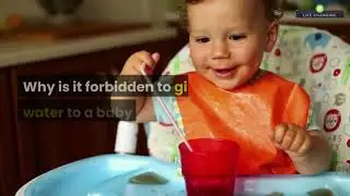 Why is it forbidden to give water to a baby 0 to 6 months