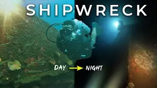 Waiterang Wreck: A Day and Night Scuba Diving Expedition