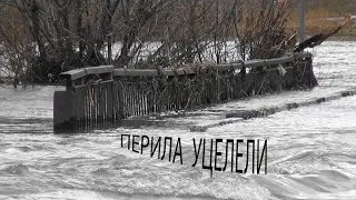Половодье 2024: 04. 04