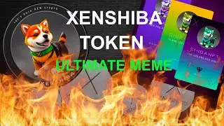XENShiba: The Ultimate Meme Coin Cryptocurrency Revolutionizing Fairness and Humanitarian Impact
