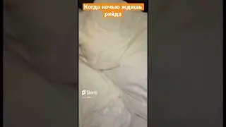 Когда на колонках услышал что рейдят в игре 