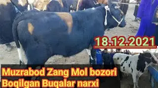 Surxondaryo Muzrabod Zang Molbozor Ho'kkizlar Narxlari