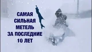 Самая сильная метель на Сахалине за последние 10 лет. 2024