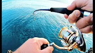 YAZILI ( ORKİNOS ) AVIM 😀🎣😀