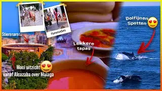 Dolfijnen Spotten,Gibralfaro Kasteel & Alcazaba & Spaanse tapas eten & Veel meer.. 🐬🍷 🥘| Ondertiteld