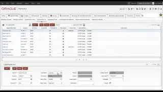 OpenUIThemes - Plugin for Siebel OpenUI - Siebel Continuity Pack