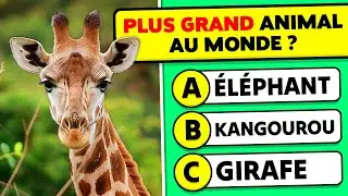 Réponds à 35 questions sur les ANIMAUX...! 🐯🐬🐸 Quiz Culture Générale Animaux