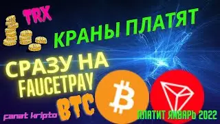 Новые жирные краны BTC TRX. Кран подписчика