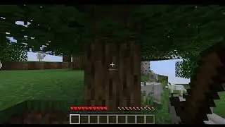 When pro playz minecraft!