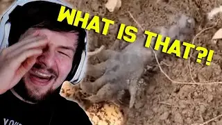 THIS WAS UNEXPECTED!