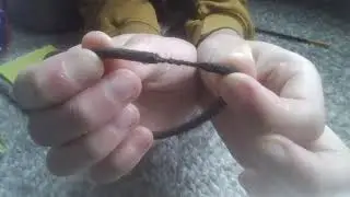 Cleaning my room!