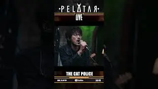 [Teaser] The Cat Police // PELATAR LIVE
