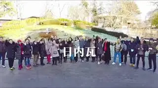 I need Switzerland | HCG Travel Group