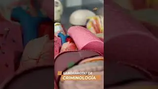 ¿Cómo es la universidad Benito Juárez?