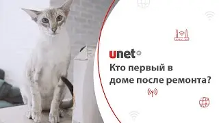 Подключение Интернета БЕЗ СВЕРЛЕНИЯ. Нашли кабель-канал и готово