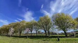 2 inch @ Park #fpv #fpvdrone #london 