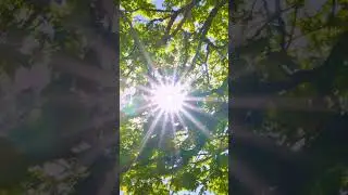 Mindful Minute | Sunlight Healing Meditation | 285 Hz Cellular Restoration