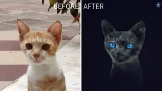 Black Glowing Blue Eyes Cat Editing - animal editing Snapseed Tutorial | itsmyart_bitch |