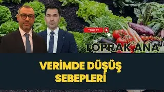VERİMDE DÜŞÜŞ SEBEPLERİ | TOPRAK ANA