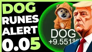DOG GO TO THE MOON 5 CENTS PODE SER BREVE