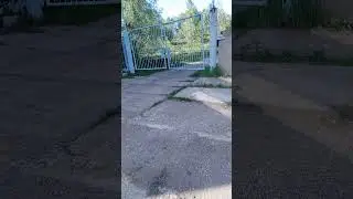 ✔Не смей обижать😾 нашего Персика🐈! #shorts✔