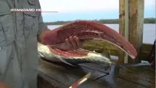 How to Fillet Yellow Fin Tuna