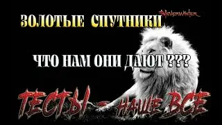 Невервинтер Что нам дают Золотые Спутники в 20м