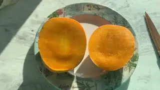 Chino mango taste test