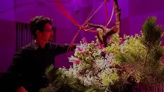 Shoso Shimbo at Melbourne Recital Centre