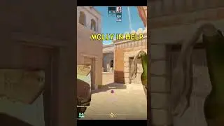 anubis smoke + molly for execute A #shrots