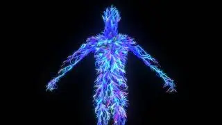 Houdini - Shortest Path RnD (scene file March 24)
